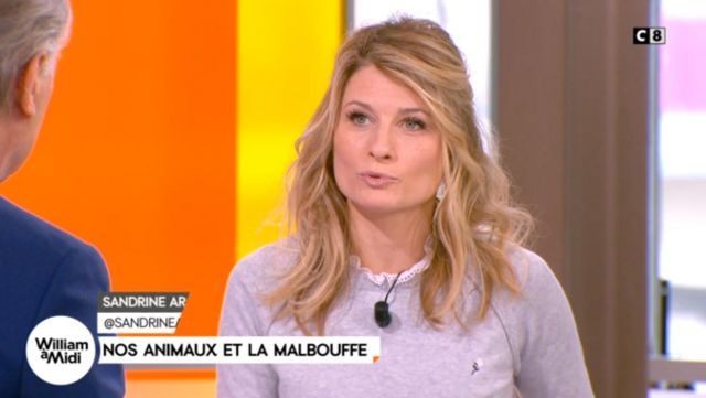 The gray sweater with collar and pleated removable Sandrine Arcizet in William noon of the 30/01/2018