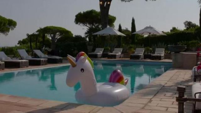 la bouée géante licorne vue dans une ambition intime du 06.02.18