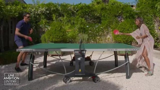 The table tennis table Cornilleau view in an ambition to intimate the 06.02.18