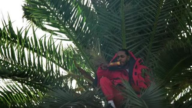 The jacket of Kendrick Lamar in the video for Jay Rock King s Dead feat Future and James Blake