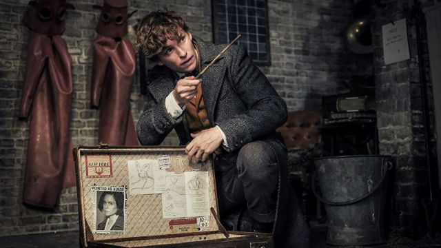 The magic wand of Norbert Dragon (Eddie Redmayne) in The fantastic Animals : The Crimes of Grindelwald