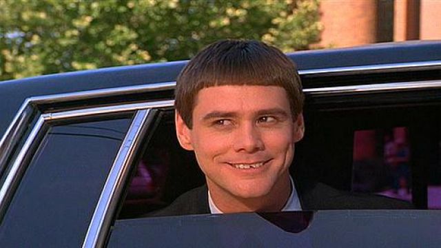 The wig of Llyod Christmas (Jim Carrey) in the movie Dumb and Dumber