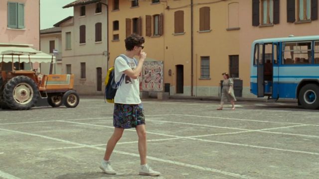 carton candidate Pessimistic The pair of white Converse by Elio Perlman (Timothée Chalamet) in Call me  by your name | Spotern