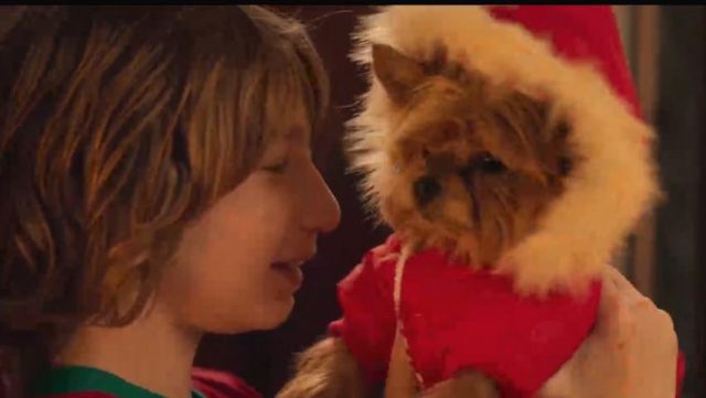 Le manteau pour chien vu dans le film Marie-Francine
