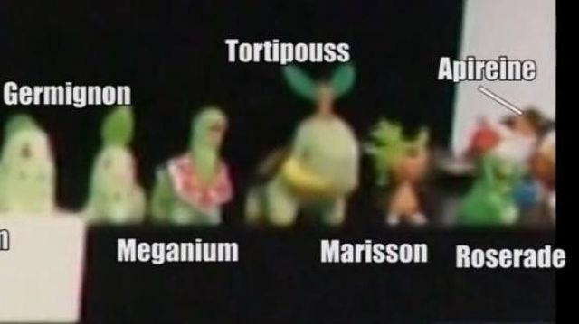 The figure Pokemon Roserade (Bandai), as seen in No, but have you seen what you listen to 09 - gag reel of Linksthesun