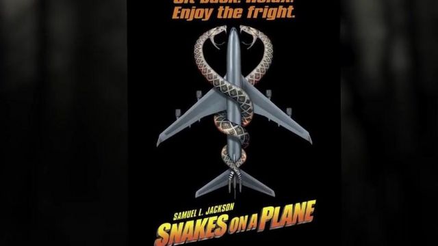 DVD Snake on the plane view in The 20 worst horror movies of Linksthesun