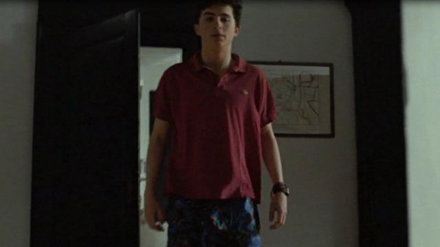 Red Polo Shirt worn by Elio Perlman (Timothée Chalamet)  in Call me by your name