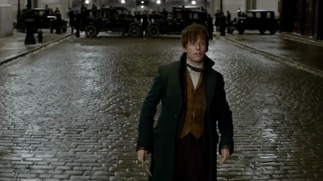 The Wand of Fido Scamander in Fantastic beasts