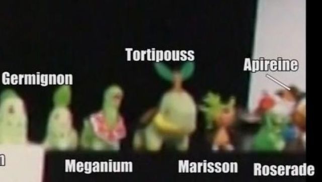 figurine Roserade seen in No, but have you seen what you listen to 09 - gag reel of Linksthesun