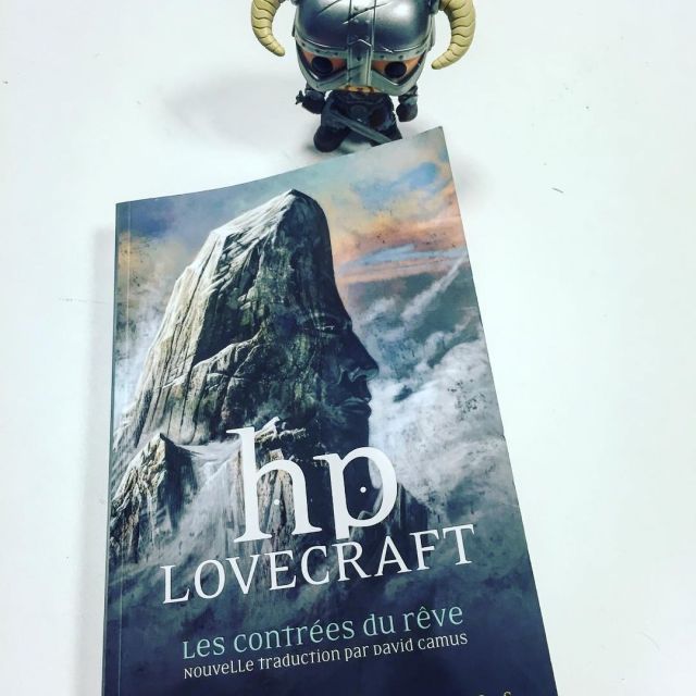 The figurine Funko Pop Dovahkiin the Elder Scrolls V: Skyrim to Gastronogeek (Thibaud Villanova) on his account Instagram