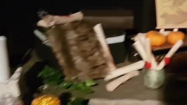 The Monster Book of Monsters Plush seen in Vlog - On the set of the Player of the Attic ! of Linksthesun