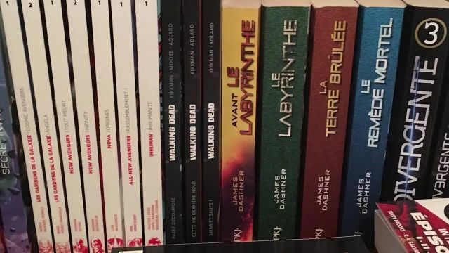 book labyrinth