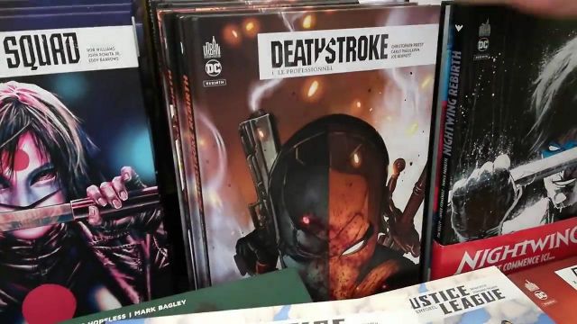Deathstroke Rebirth, Tome 1 : Le professionnel