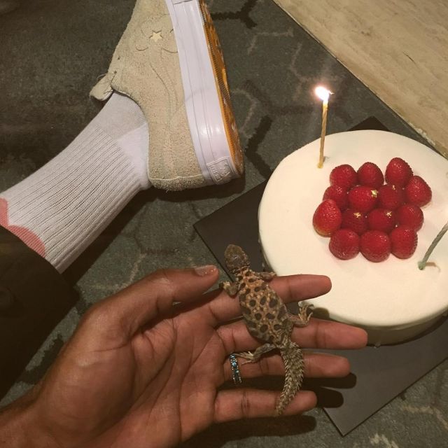 Sneakers beige Converse x Golf the flower of Tyler The Creator with a lizard on Instagram