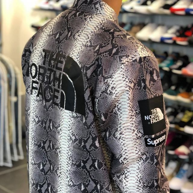 The jacket python Supreme X The North Face python @larrydeadstock on his account Instagram
