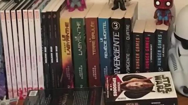 Tome 2 le livre "La Terre Brûlée" de James Dashner