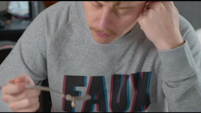 The grey sweatshirt FAKE Noram Thavaud in her video "The song of the false"