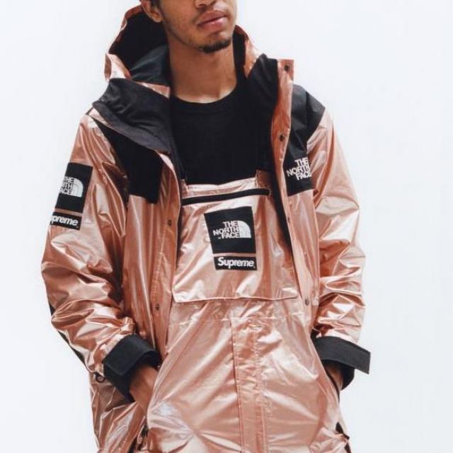 the north face metallic jacket