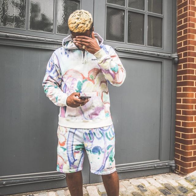 supreme landscape shorts