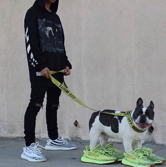 Les Yeezy Boost 350 V2 zebra noir et blanc sur le compte Instagram @yeezyboosts