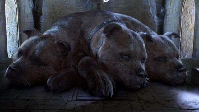 La réplique de Touffu (Fluffy), le chien à 3 têtes vu dans Harry Potter à l'Ecole des Sorciers