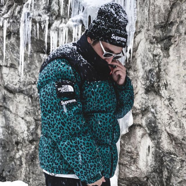 north face supreme leopard jacket