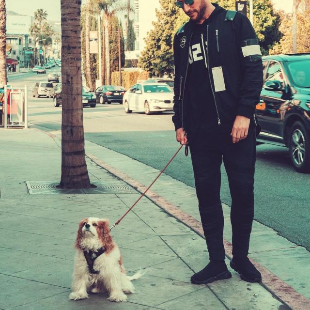 Balenciaga Trainers Speed Black Shoes usado por Don Diablo en su cuenta de Instagram