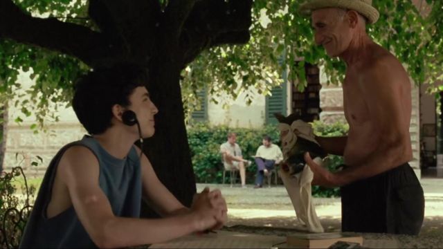 Blue Tank Top worn by Elio Perlman (Timothée Chalamet)  in Call Me by Your Name