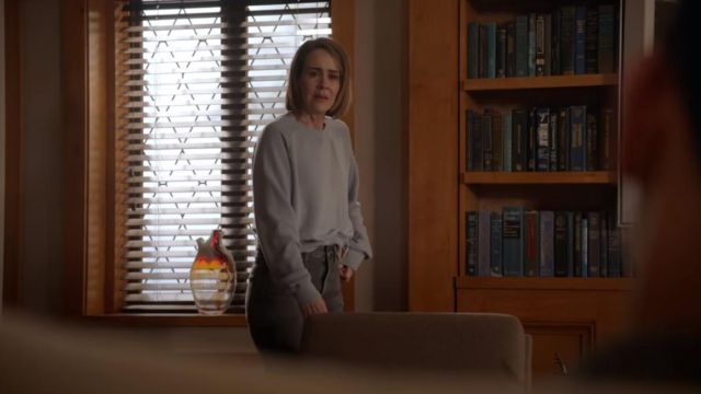 The Gray Sweater From Allyson Mayfair Richards Sarah Paulson In American Horror Story Cult
