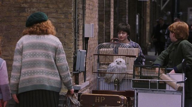 La réplique de la chouette Edwige de Harry Potter (Daniel Radcliffe) dans Harry Potter à l'école des sorciers