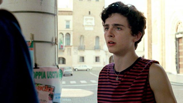 Anyone know what necklace this is timothee chalamet wears in call me by  your name? : r/jewelry