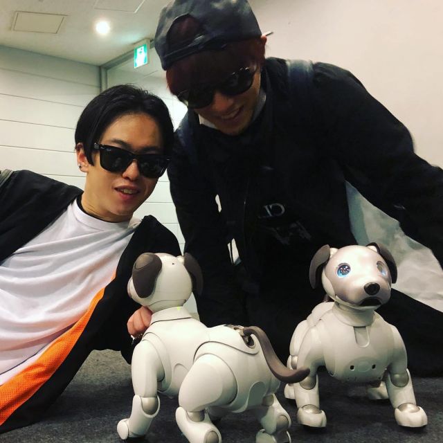 Le chien électronique Aibo de Momiken sur le compte instagram de @momiken_spyair