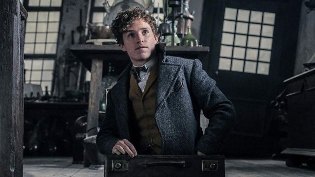 The gray coat worn by Newt Scamander (Eddie Redmayne) in The Fantastic Animals : The crimes of Grindelwald