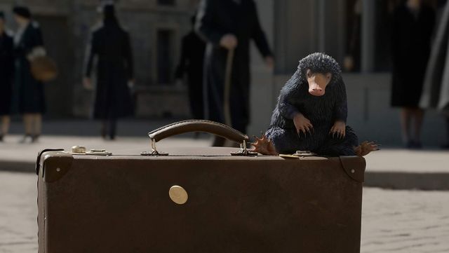 The replica of a Niffler in Fantastic Animals : The crimes of Grindelwald