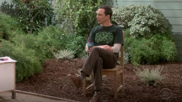 The t-shirt with a green Dinosaur from Super 7, Sheldon Cooper (Jim Parsons) in The Big Bang Theory S12E07