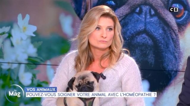 The Sweater with mohair and lurex Sandrine Arcizet in William noon of the 09/11/2018