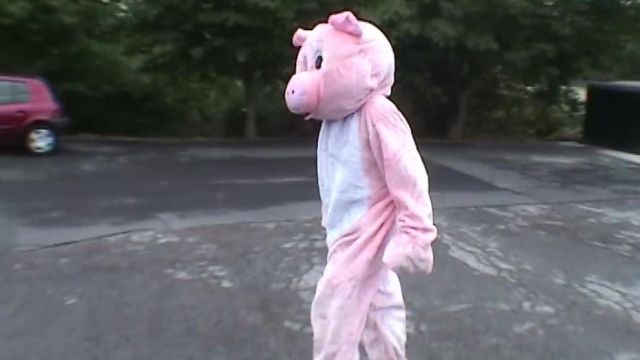 The costume of the pig Remi Gaillard on his YouTube video ANYMAL