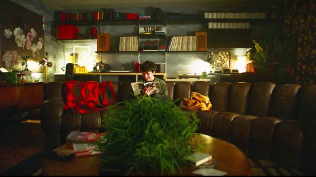The leather sofa De Sede in the apartment of Colin Ritman (Will Poulter) in Black Mirror: Bandersnatch