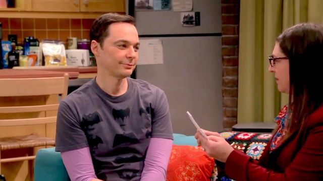 The gray t-shirt symbols Batman worn by Sheldon Cooper (Jim Parsons) in The  Big Bang Theory S12E11 | Spotern