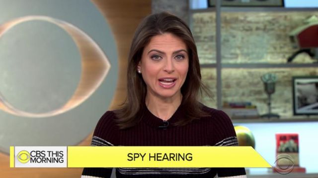 Proenza Schouler Striped Rib Crewneck worn by Bianna Golodryga on CBS This Morning