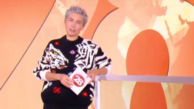 The Sweater Tigers Embroidered Élisabeth Quin in 28 minutes of 23/01/2019