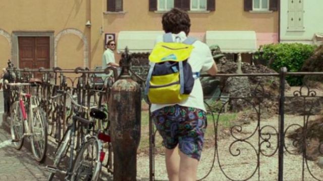 Invitcta Jolly III backpack used by Elio Perlman (Timothée Chalamet) in Call Me by Your Name