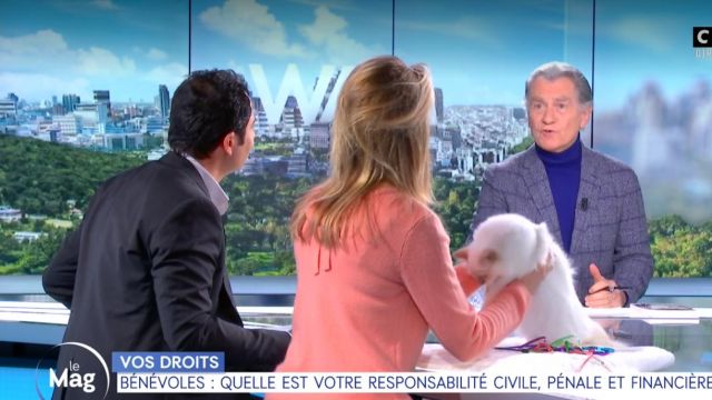 The sweater rose Sandrine Arcizet in William noon of the 08/02/2019