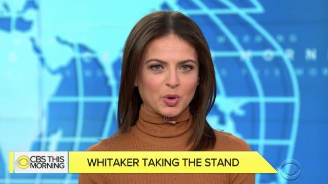 Victoria Beckham Sheer Rib Knit Turtleneck Sweater worn by Bianna Golodryga on CBS This Morning
