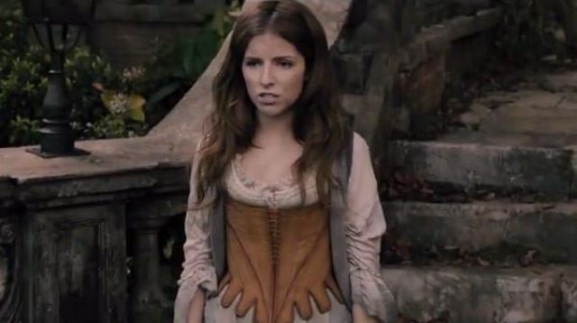 Brown corset worn by Cinderella (Anna Kendrick) as seen in Into the Woods