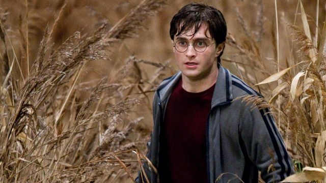 La veste grise portée par Harry Potter (Daniel Radcliffe) dans Harry Potter et les reliques de la mort - 1ère partie