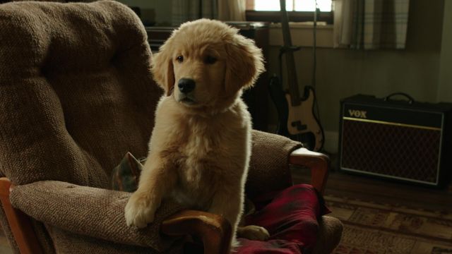 Vox Amplifier as seen in Aquaman