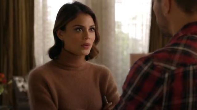 brown cropped turtleneck