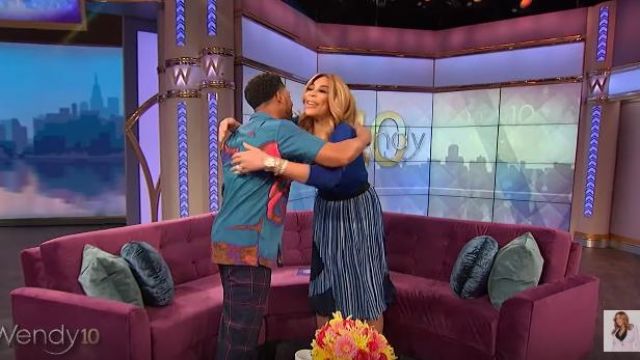 Catherine Catharine Malandrino Blue Chain Stripe Pleated Skirt worn by Wendy Williams on The Wendy Williams Show May 2, 2019