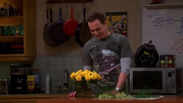 The t-shirt The Mountain Loco 74 of Sheldon Cooper (Jim Parsons) in The Big Bang Theory (S08E23)